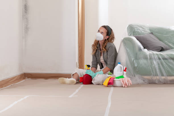 Reliable Mold Testing contractor in Efland, NC by WQB Mold Removal
